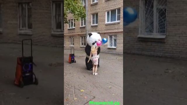 Панда?