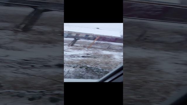 первый снег