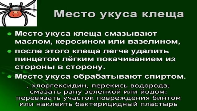 Что делать после укуса мыши