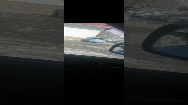 Что за лев этот Тигр?????