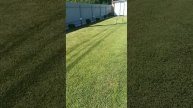 Осторожно Жора -2 финиш.