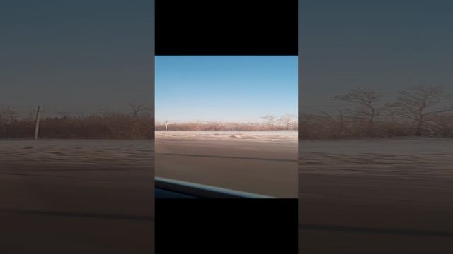 20230202_100955.mp4