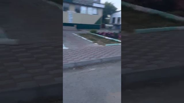 Суровые  Гаишники  в Липецкой области п.Лев Толстой 