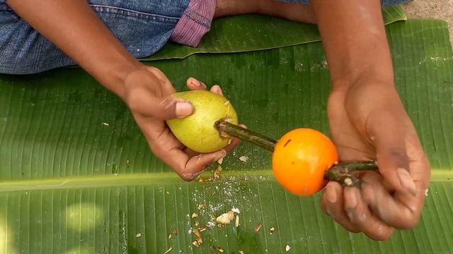 DIY Best:How To Growing Mango Tree and Orang Fruit & Java Apple Fruit To be Single Tree:Mixed fruit