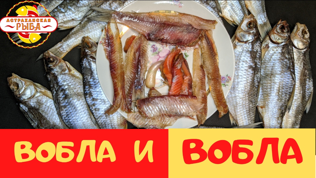 ВОБЛА  2022 | ДВЕ ПАРТИИ ВЯЛКИ- СРАВНЕНИЕ