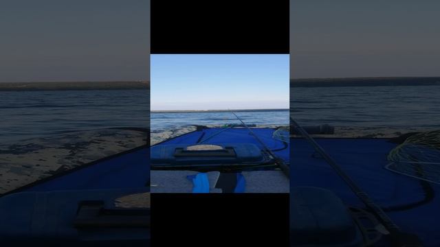 VID_20240811_184333.mp4