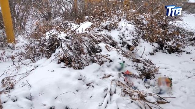 Когда научимся не мусорить