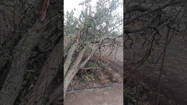 Последствия непогоды у нас , сильный ветер до 25м/с