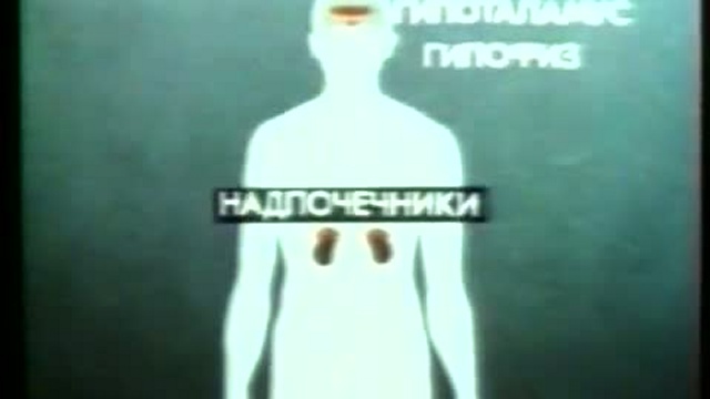 Выделение