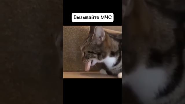 Тут мчс уже не поможит