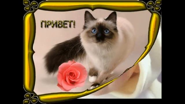 День улыбки ?!!! 02.10.2020.