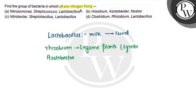 Find the group of bacteria in which all are nitrogen fixing :-
 (a) Nitrosomonas, Streptococcus, ..
