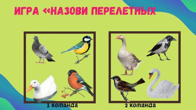 Видео - ролик "Путешествие по удивительному богатому краю"