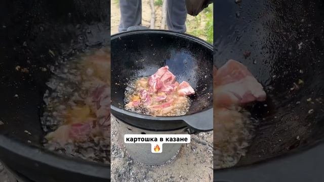 27 мая 2023 г.