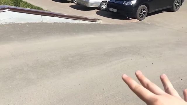 VLOG катаемся на рипстиках | гироскутер | кормим собаку
