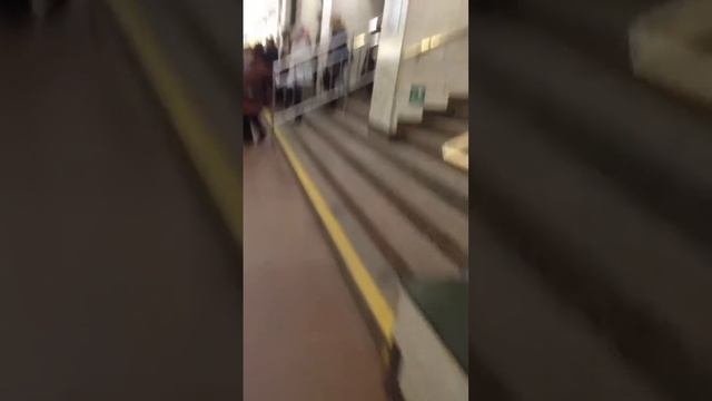 Звенигородская - Пушкинская