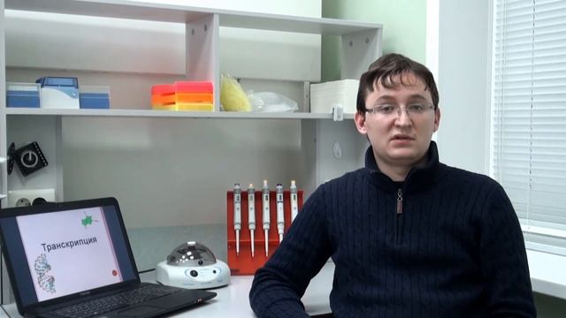 Матричные синтезы в живой клетке.  Принципы.