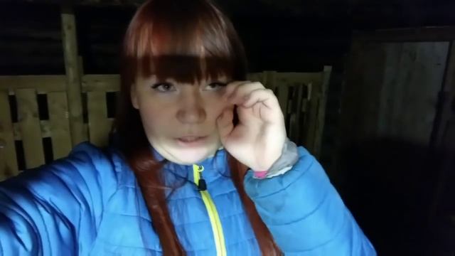 ВЫКИДЫШ у КОЗЫ. Горе в хозяйстве...