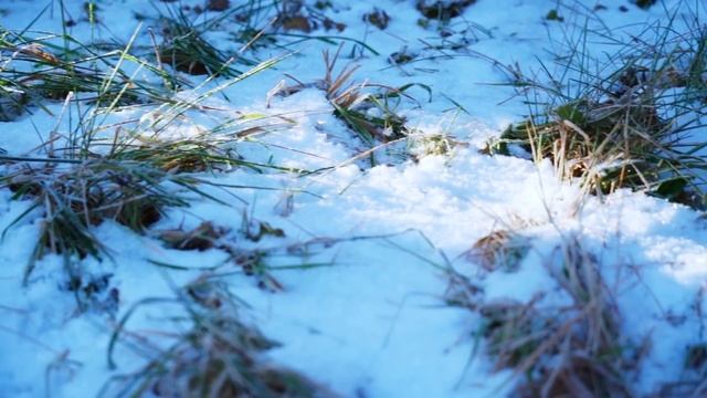 КУПИЛ 2 ДОМА В ДЕРЕВНЕ | СПАСЕНИЕ СОБАКИ ИЗ ЛЕДЯННОГО ПЛЕНА | СДЕЛАЛ ОСВЕЩЕНИЕ ДОМА | ГОТОВКА В ПЕЧ