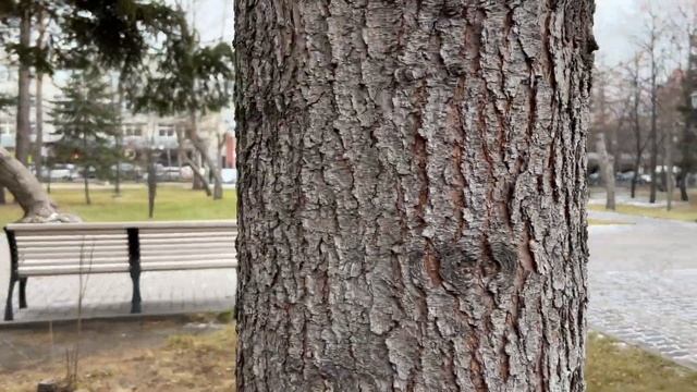 36; тыквенный суп на завтрак, обзор на гель для душа/VLOG