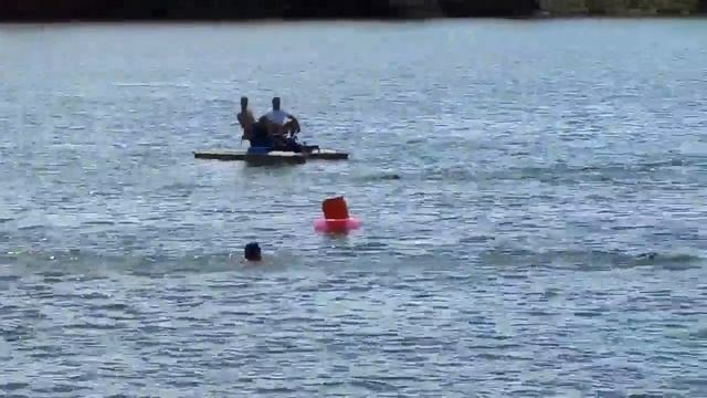 Чемпионат области по плаванию на открытой воде - июль 2016