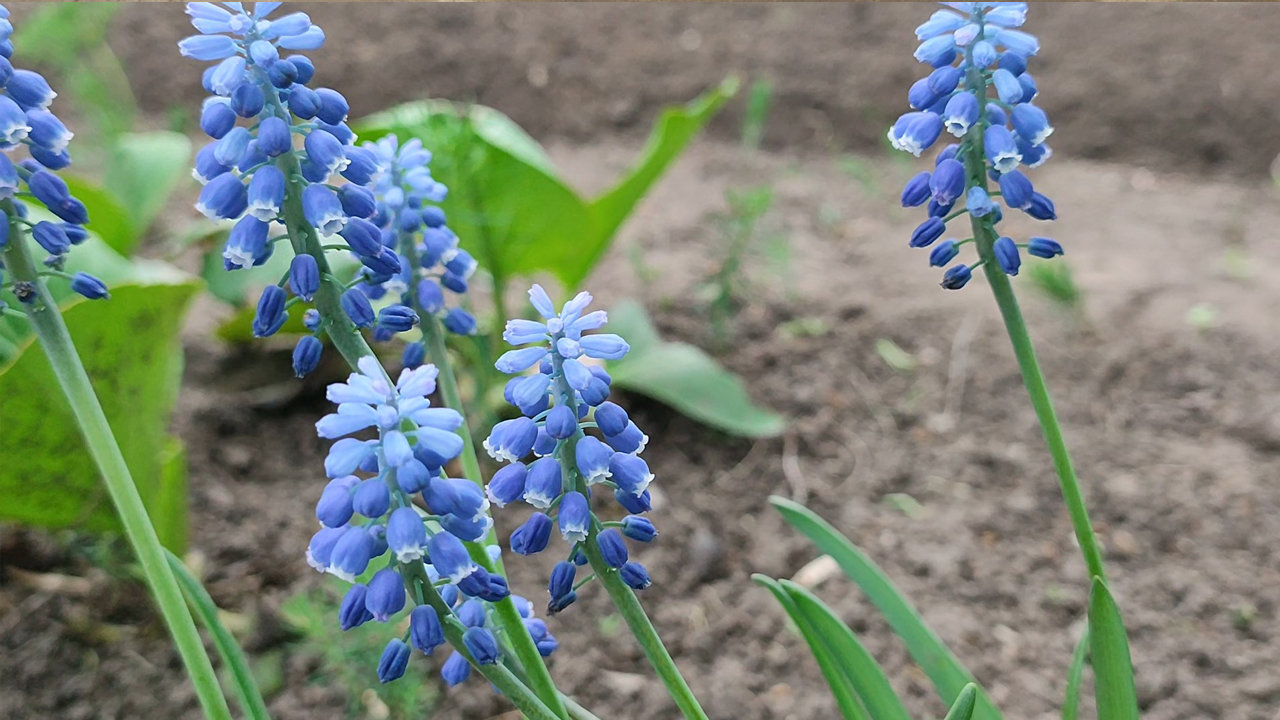 Весенняя зарисовка