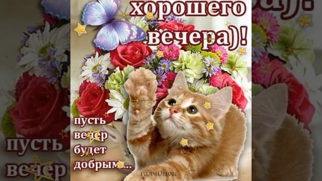@Добрый вечер, друзья👭👬👫👭👬👫👭👬👫