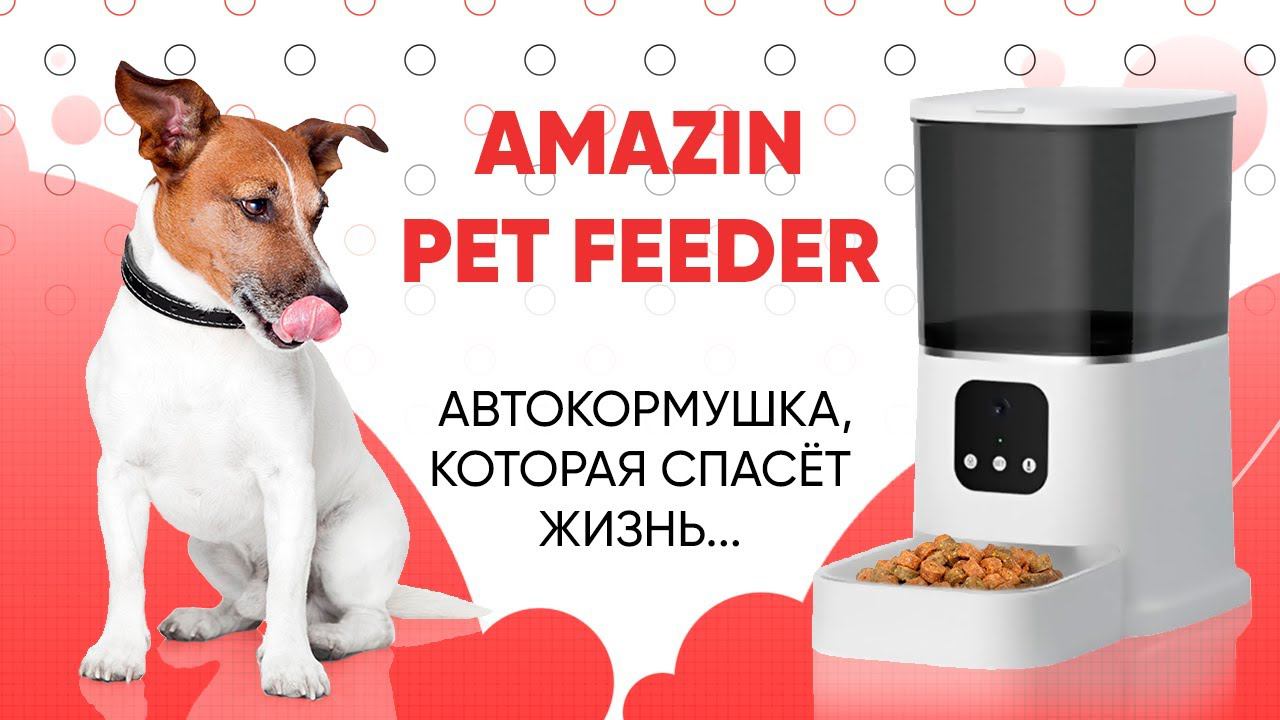 Amazin Pet Feeder – обзор уникальной автокормушки | Amazin.su