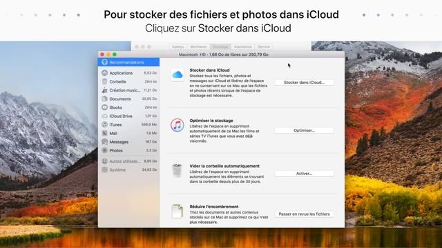 Libérer de l’espace de stockage sur votre Mac - Assistance Apple