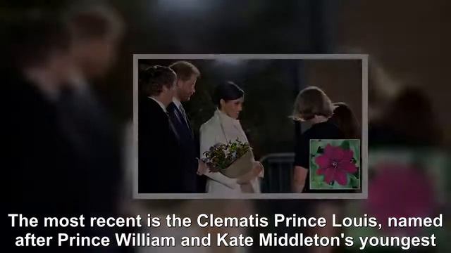 What With Kate Middleton Designing A Garden For The Show-Royal News