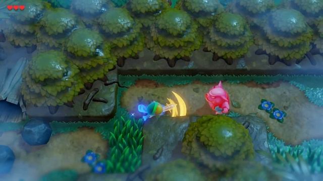 Link's Awakening Switch Gameplay: The Legend of Zelda Link's Awakening - WORST RACCOON EVER