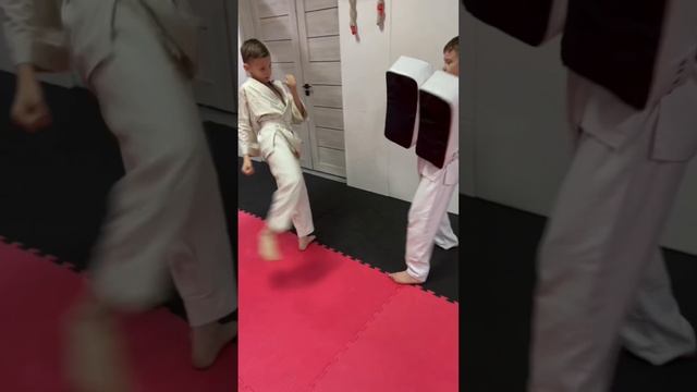Тренировки по КУДО в Кемерово