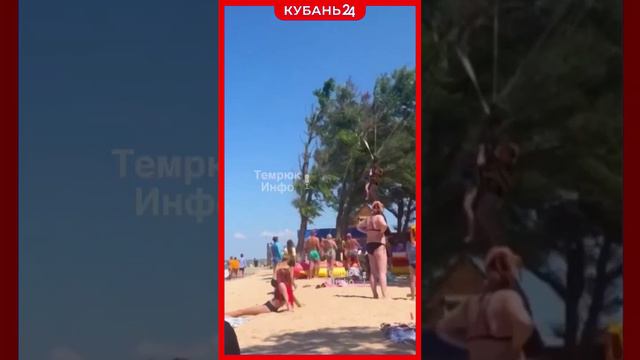 Мужчина с ребенком, летевшие на парашюте, застряли на дереве в Голубицкой