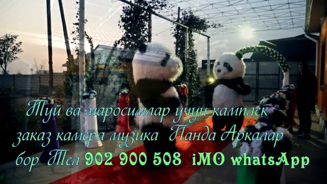 #Туй ва маросимлан учун  камплек заказ Камера Музыка  Карнай Сурнай Панда Аркалар бор
