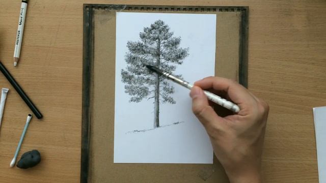 How to Draw a Pine Tree - Charcoal Drawing Tutorial