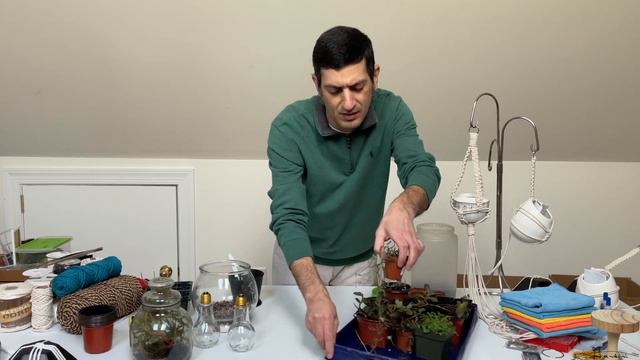 A Simple Way To Repot Plants