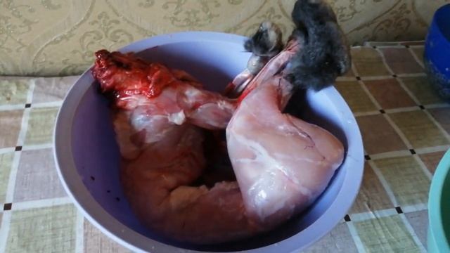 Кролики - подрастают крольчата//Первая продукция