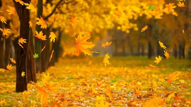 Красивая расслабляющая музыка. Музыка для сна.