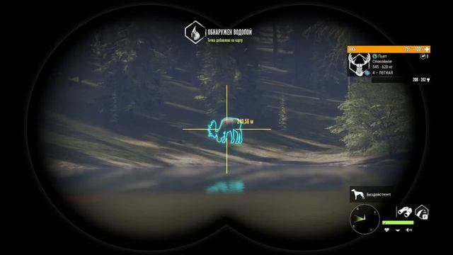 TheHunter  Call of the Wild / 2022 / Гайд для новичков / Как лучше охотиться?