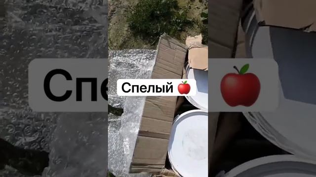 Отзыв клиента