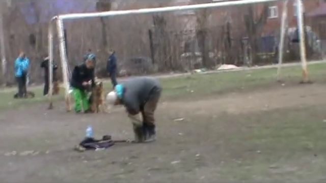 Дрессировка собак на стадионе «Жуковский». 2013 г.
