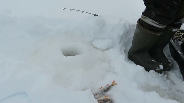 Зимня рыбалка