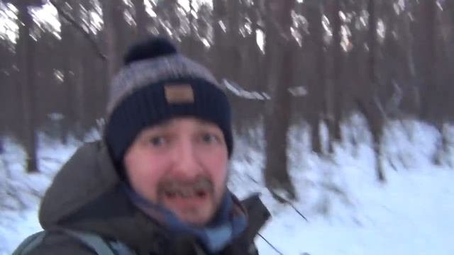 МЕДВЕДЬ В ЛЕСУ СОЖРАЛ ТАЛАНТЛИВОГО БЛОГЕРА