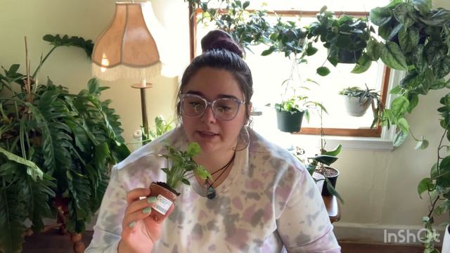 Plant Haul!!