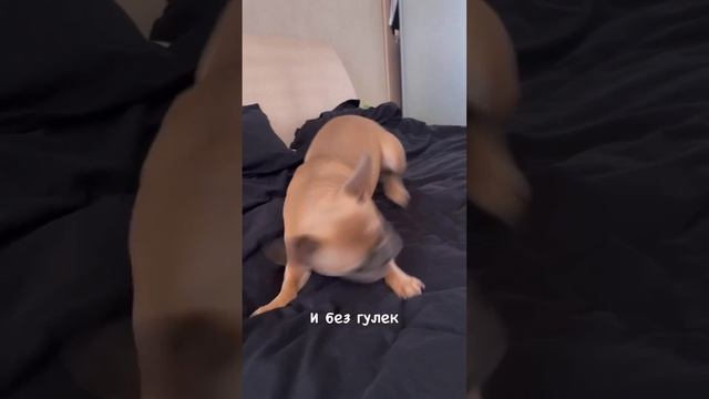 Она не согласна ?