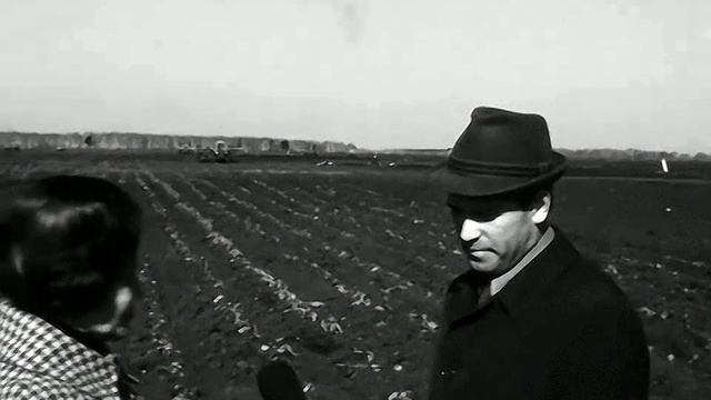 1981 год. Тюменский район. Высадка капусты