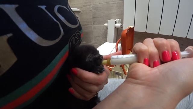 СПАСЛИ БЕЗДОМНОГО КОТЁНКА ?