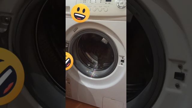 🟣cat washer🟣котики🟣