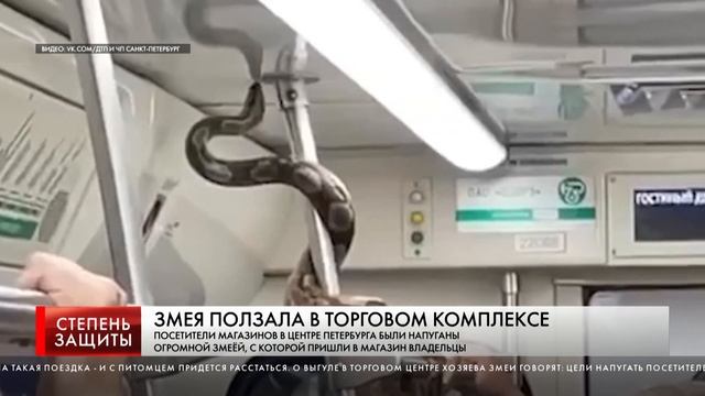 ЗМЕЯ ПОЛЗАЛА В ТОРГОВОМ КОМПЛЕКСЕ