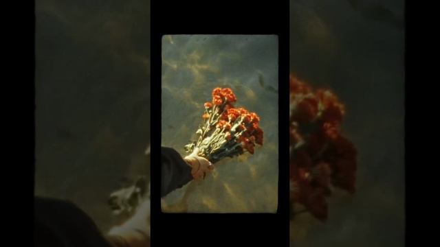 Kimo bones - В погоне за счастьем XXXIII